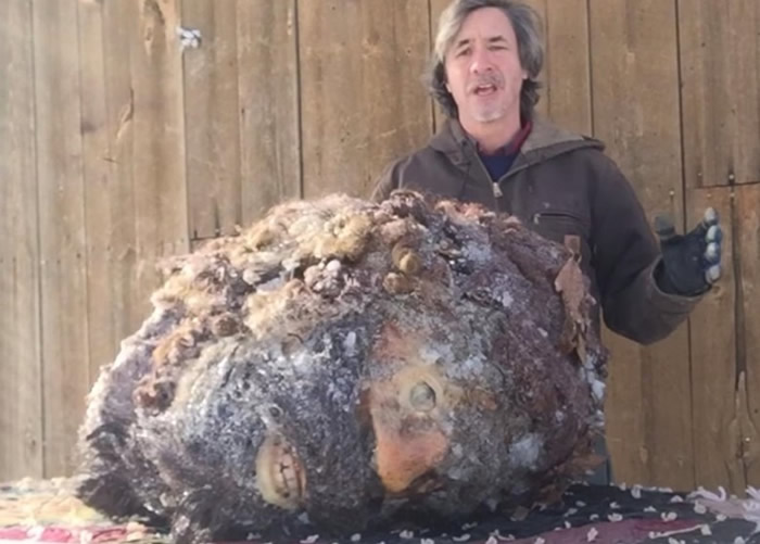 美国男子Peter Caine声称拥有大脚怪头颅