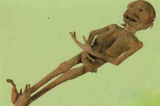 世界诡异蜥蜴人之谜（自然界中发现的6个奇闻异录）(2)