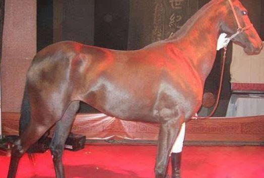 世界诡异蜥蜴人之谜（自然界中发现的6个奇闻异录）(5)