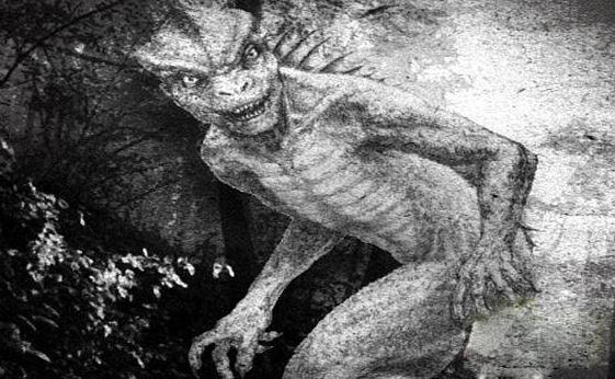 世界诡异蜥蜴人之谜（自然界中发现的6个奇闻异录）(4)