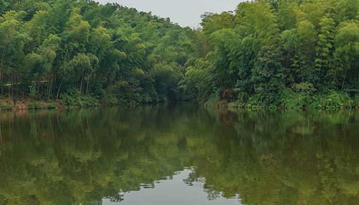 蜀南竹海门票 蜀南竹海门票多少钱一张