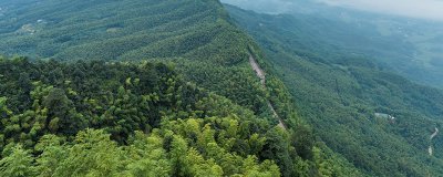 ​蜀南竹海门票 蜀南竹海门票多少钱一张
