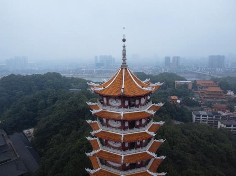 上海金山区疫情严重吗「疫情防控做得好的上海金山区为什么没有地铁不建不代表不需要」