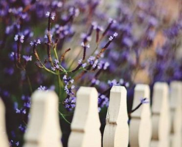 ​农历3月15日是什么星座 具有迷人的个性