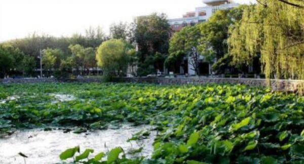 二十大天津灵异事件真实案例(4)_