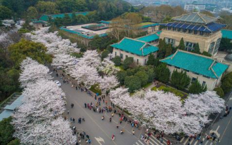 2025年武大樱花怎么预约(2025武大樱花预约流程和指南)