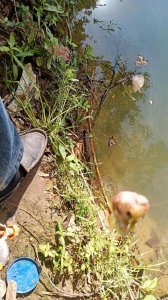 ​廊坊河边哪有露营的