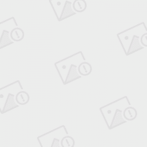 ​癸酉之变的过程 癸酉之变的结果