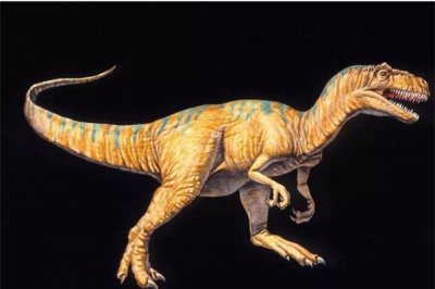 ​小掠龙：兽脚亚目下的一个属（属于脊索动物）