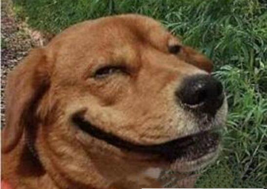 网络用语ex是啥梗（前任看起来会比较含蓄一些）(2)_