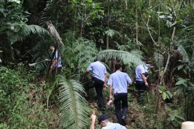 ​失踪 68 个小时的 3 岁男童获救，村民夹道欢呼