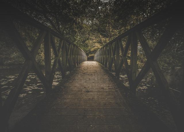 昔日的家电巨人新飞电器破产倒闭，哀鸿遍野的制造业将何去何从？