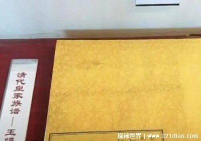 ​皇家的族谱叫什么，玉牒(从唐朝开始记录延续至明清)