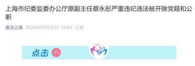 ​上海市纪委监委办公厅原副主任蔡永彤被“双开”