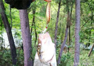 ​10个路亚钓法入门技巧，路亚高手都是这样的