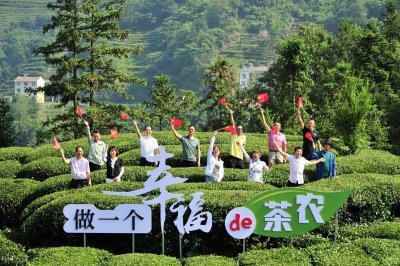 ​合村并居，哪些村镇会被合并？