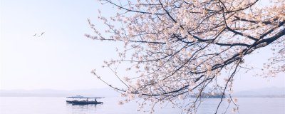 ​勃勃生机的意思 勃勃生机什么意思