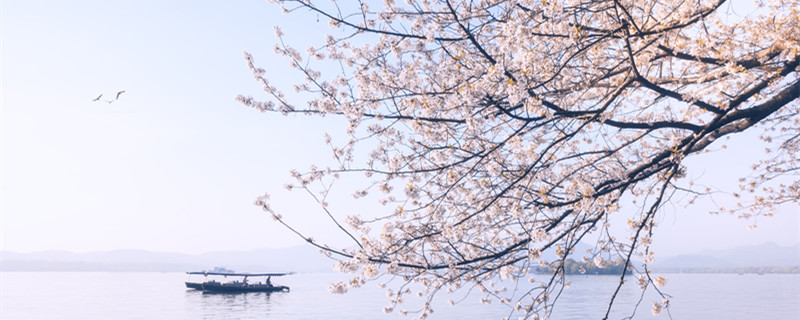 勃勃生机的意思 勃勃生机什么意思