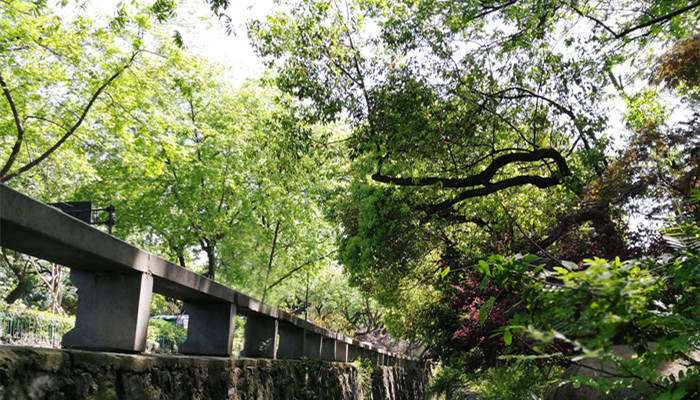 勃勃生机的意思 勃勃生机什么意思