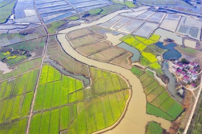 ​江西樟树：水乡春色如画