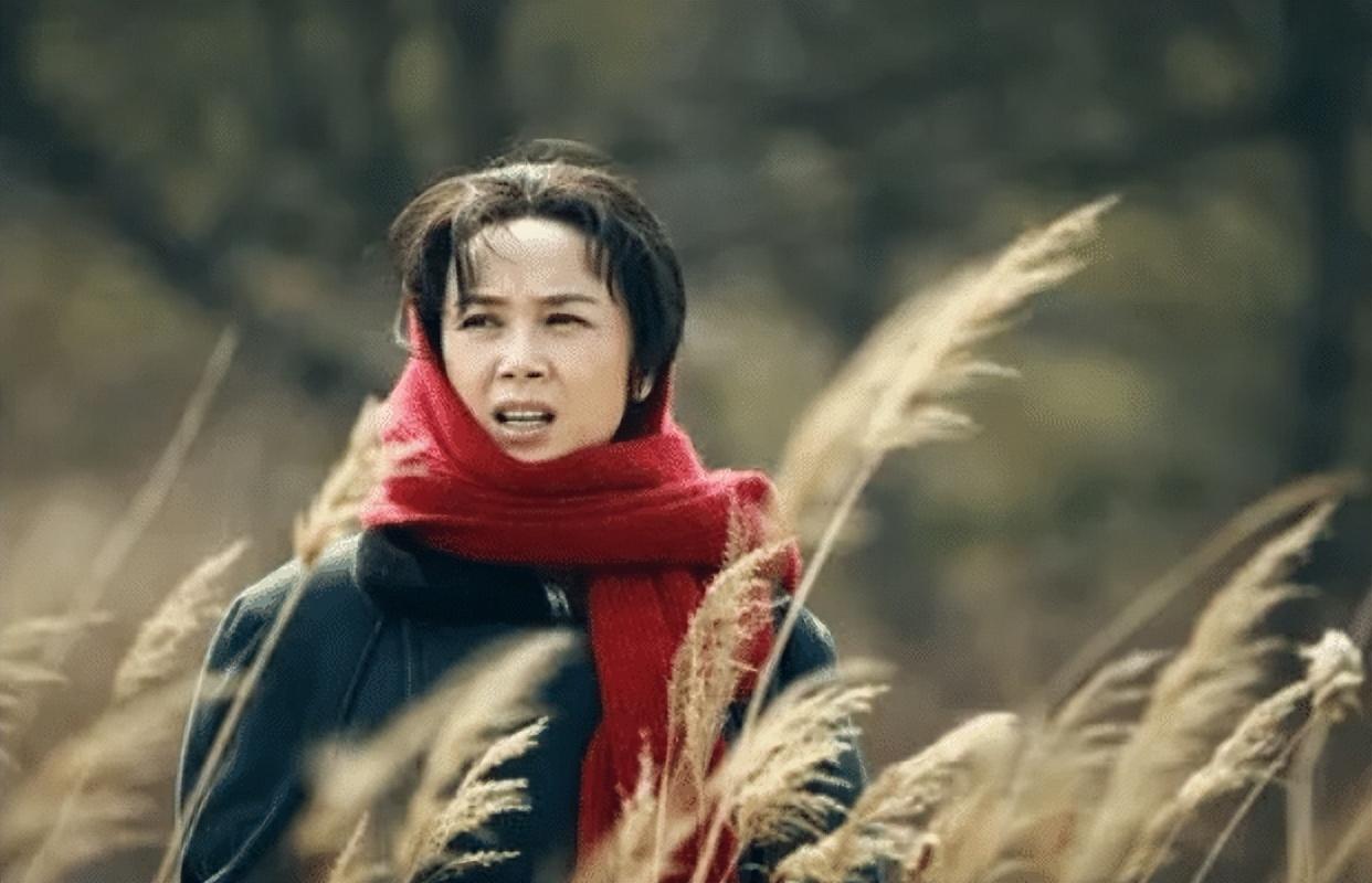 娘要嫁人齐之芳最后和谁在一起(娘要嫁人齐之芳结局)