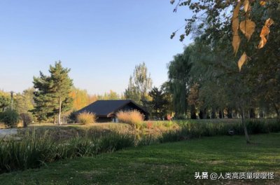 ​出片率超高还免费！沈阳的这个网红公园你去过吗？