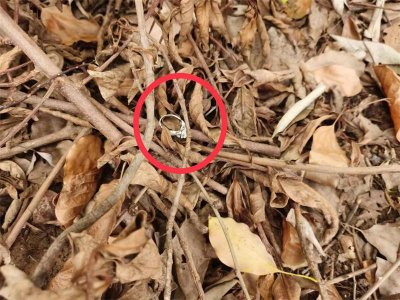 ​女子醉酒后将八万余元的钻戒甩飞，民警扒草丛寻回