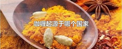 ​咖喱起源于哪个国家