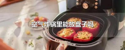 ​空气炸锅里能放盘子吗