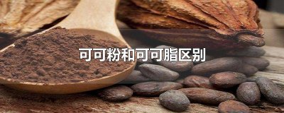 ​可可粉和可可脂区别