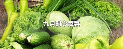 ​九月时令蔬菜