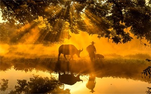 预言中的圣人是个苦孩子(圣人是经历了无穷的苦难)