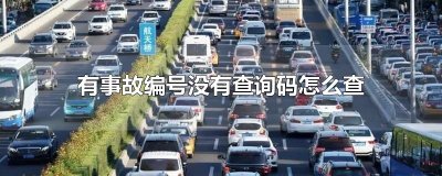 ​有事故编号没有查询码怎么查