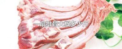 ​一扇排骨大概多少斤