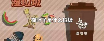 ​棕叶子是什么垃圾