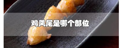 ​鸡凤尾是哪个部位