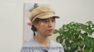 ​斐济是哪个国家