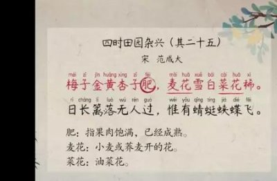 ​四时田园杂兴其一古诗