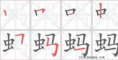 ​蚂蚁的蚂字怎么组词