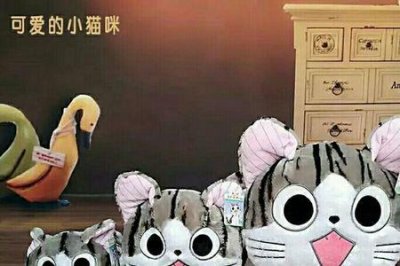 ​起司猫小奇最后找到妈妈了吗