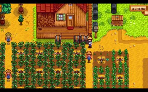 星露谷夏威夷宴会攻略