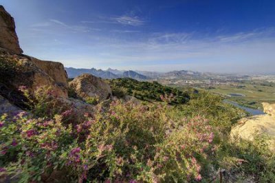 ​高高的山岗上原唱国语