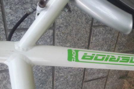 捷安特SPEED-X和美利达R901那个好