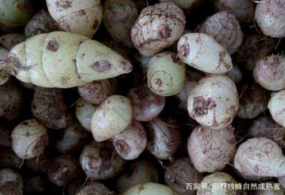 ​白芨水怎么煮