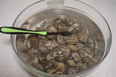 ​花蛤能否直接冷冻保存？当天不吃如何保存？