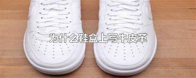 ​鞋盒上写的牛皮 鞋盒上写牛皮革是什么意思