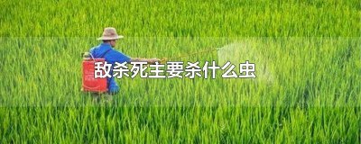 ​杀敌的意思是什么 敌杀死是什么