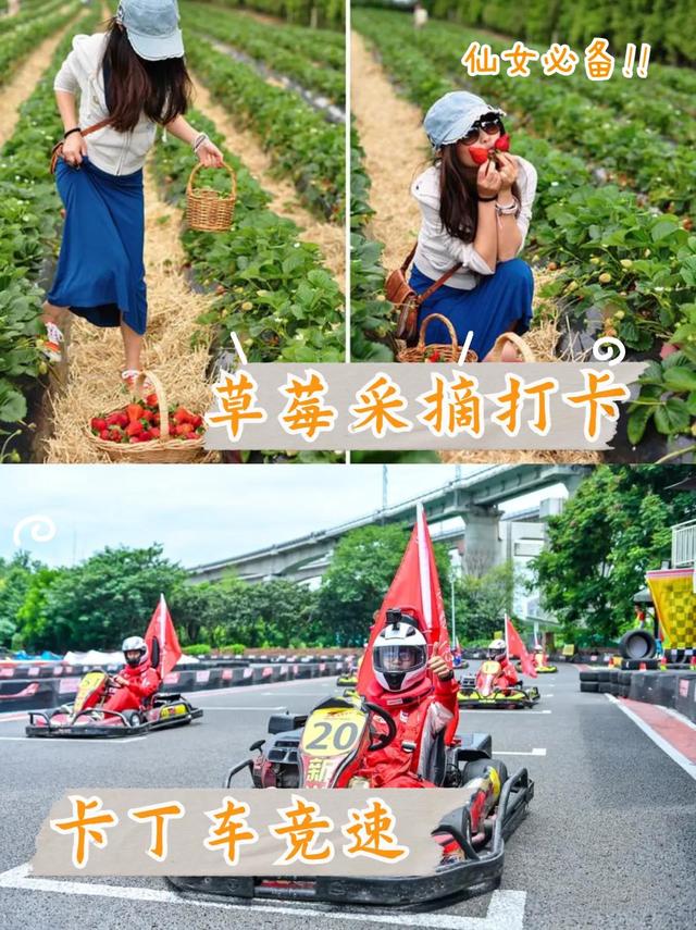 上海团建地方推荐（上海团建去哪里）(2)