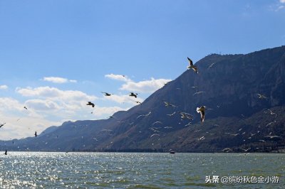 ​昆明一日游最佳景点一览表（昆明旅游必去十大景点推荐）