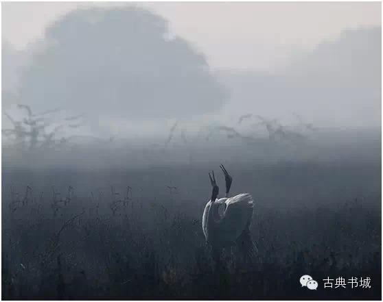 ♬最美的南北朝民歌，似一阵清风吹入